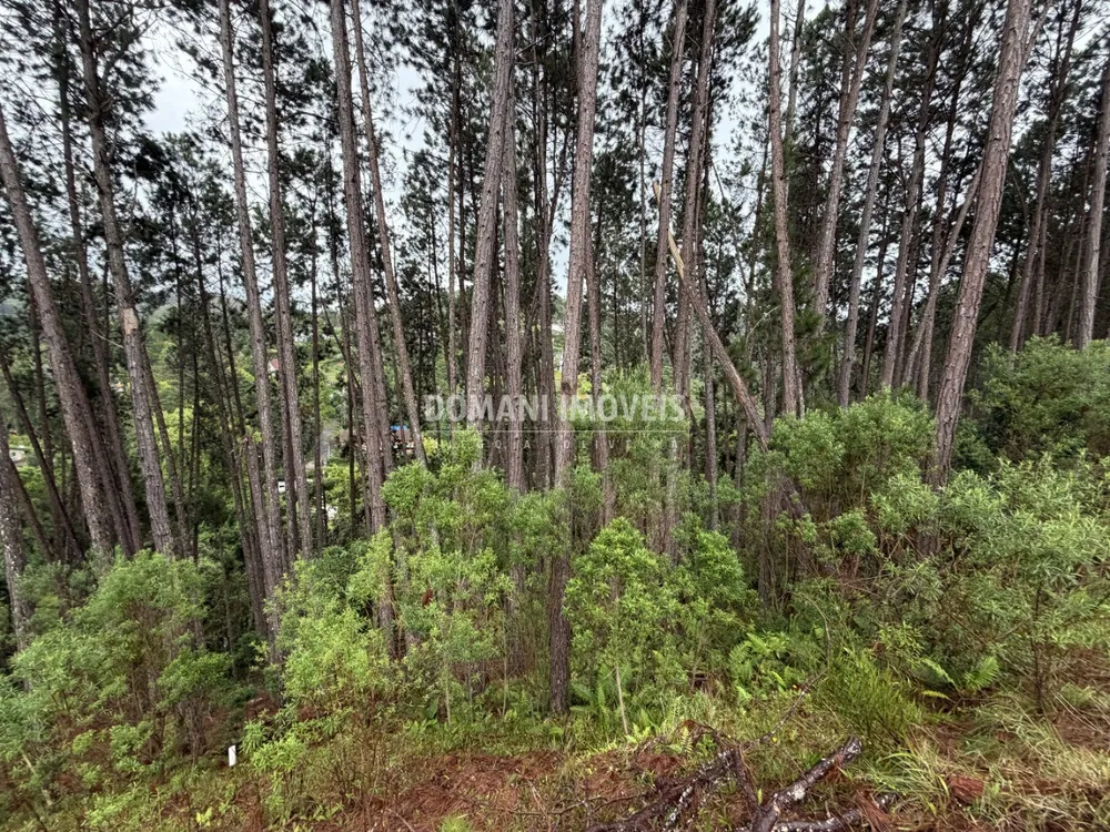 Terreno, 2560 m² - Foto 5