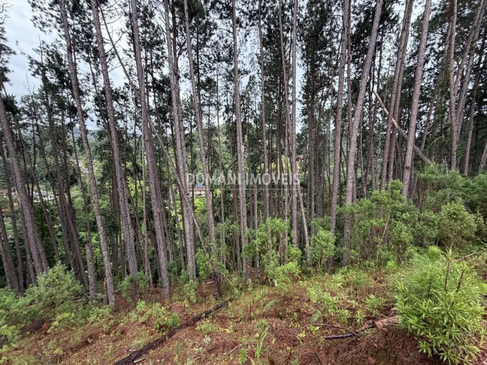 Terreno, 2560 m² - Foto 7