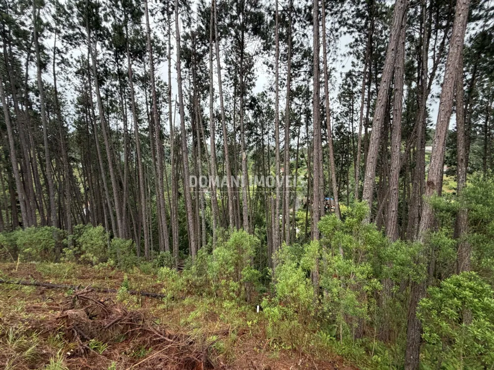 Terreno, 2560 m² - Foto 2