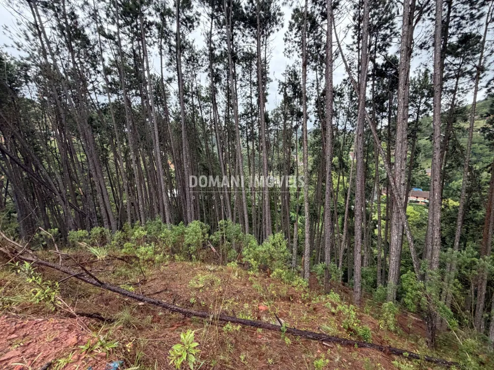 Terreno, 2560 m² - Foto 6