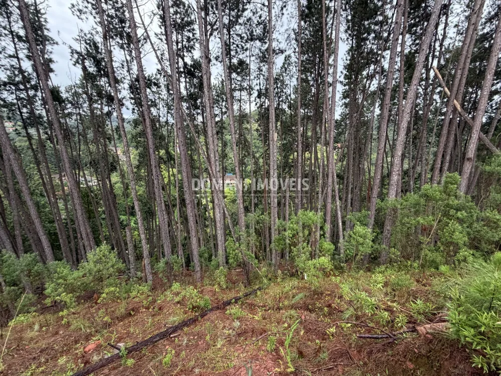 Terreno, 2560 m² - Foto 8