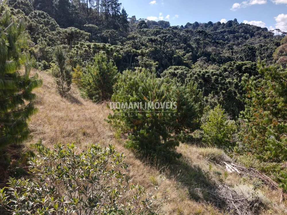 Terreno, 1110 m² - Foto 4