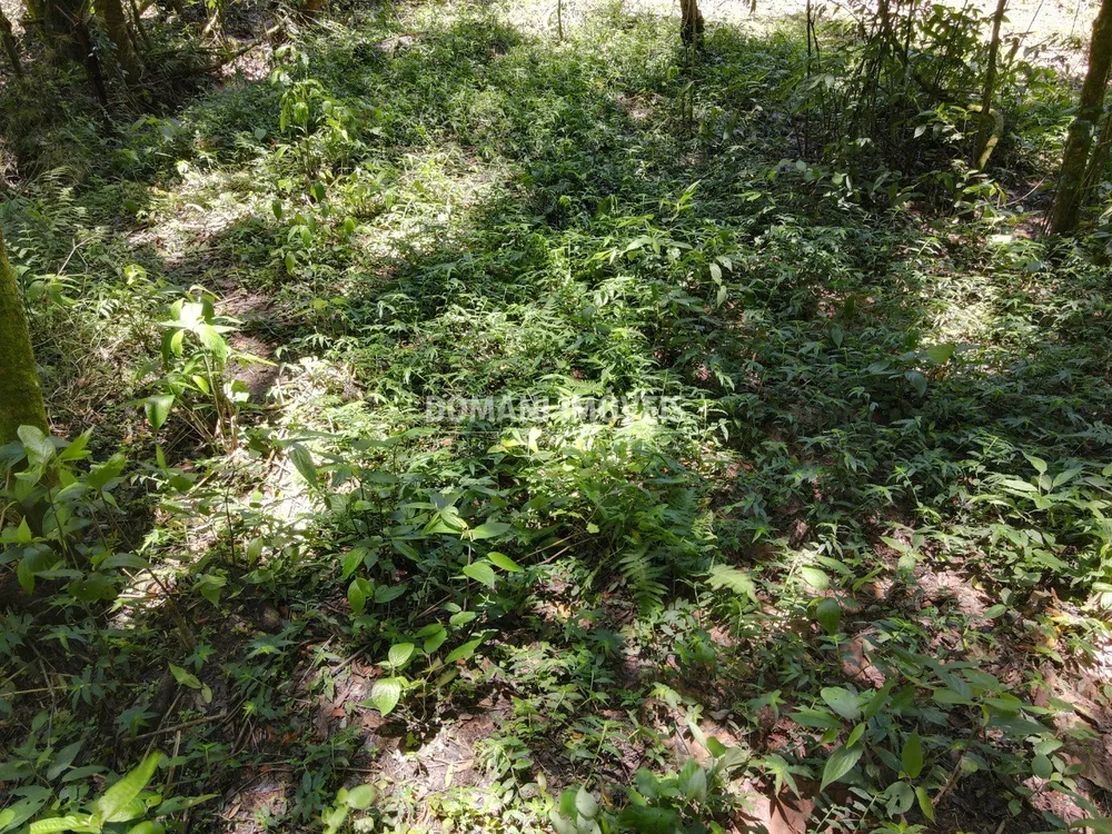 Terreno, 970 m² - Foto 9