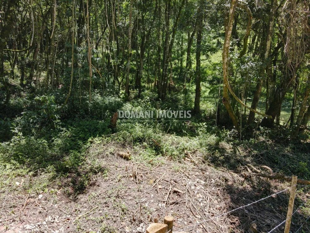 Terreno, 970 m² - Foto 8
