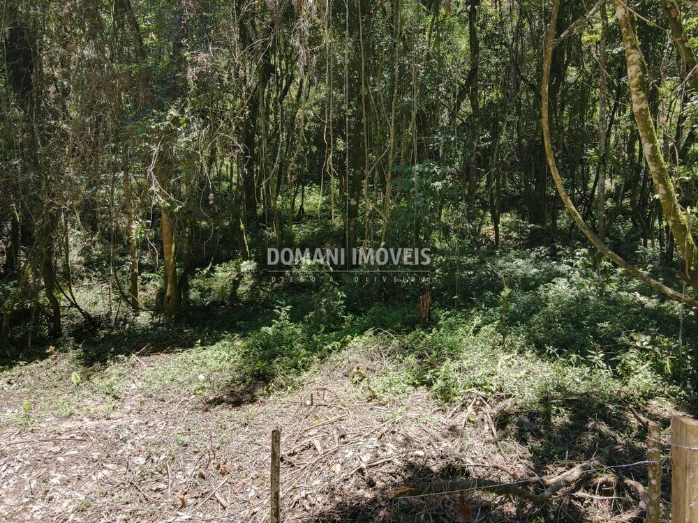 Terreno, 970 m² - Foto 2