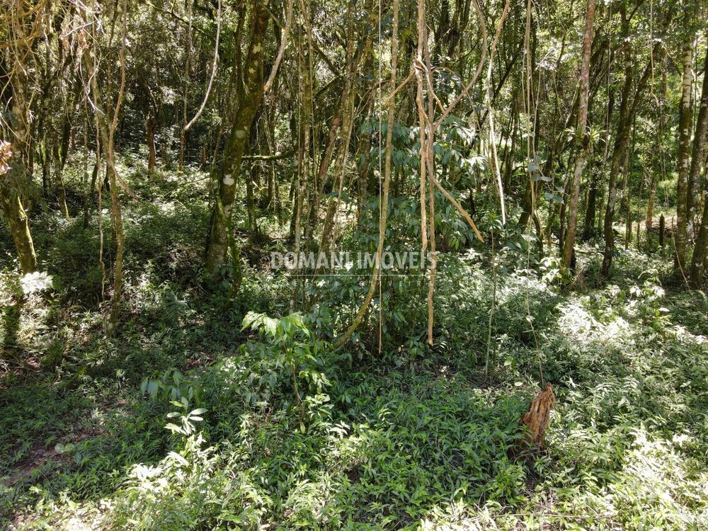 Terreno, 970 m² - Foto 4