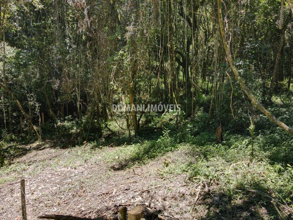 Terreno, 970 m² - Foto 3