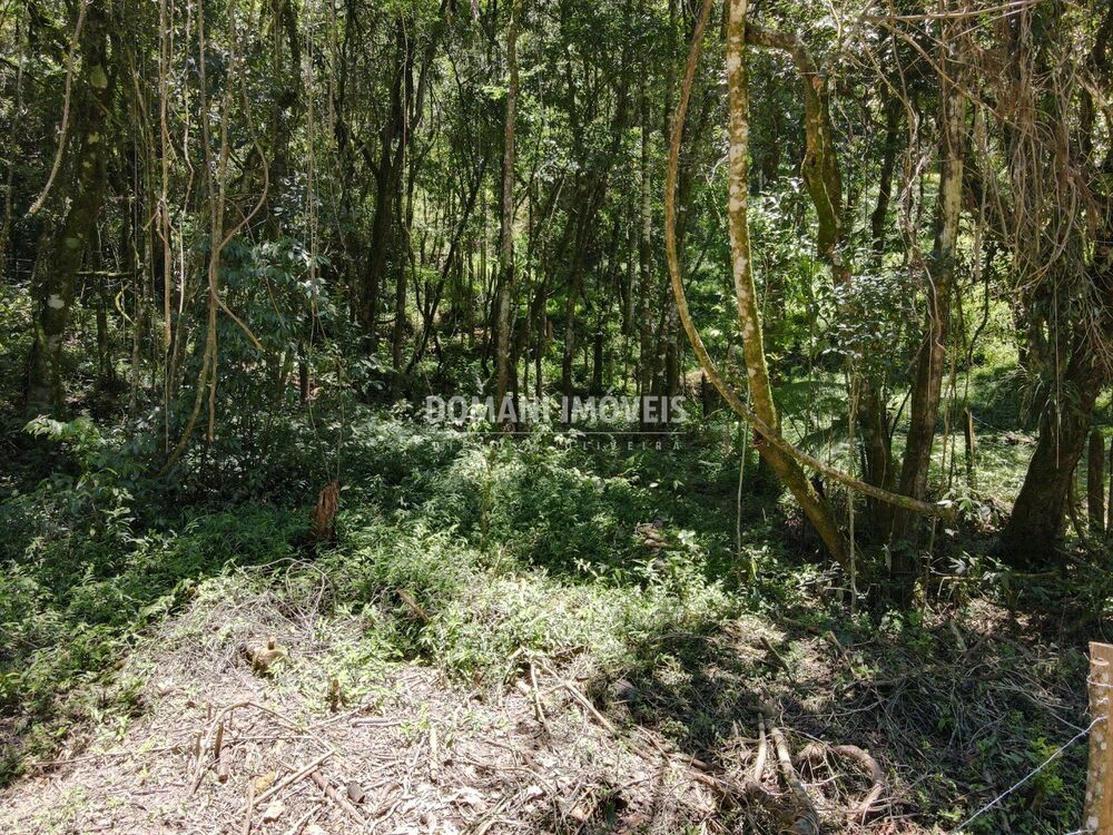 Terreno, 970 m² - Foto 1