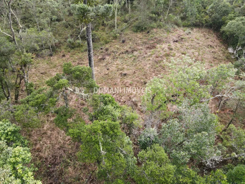 Terreno, 1060 m² - Foto 6