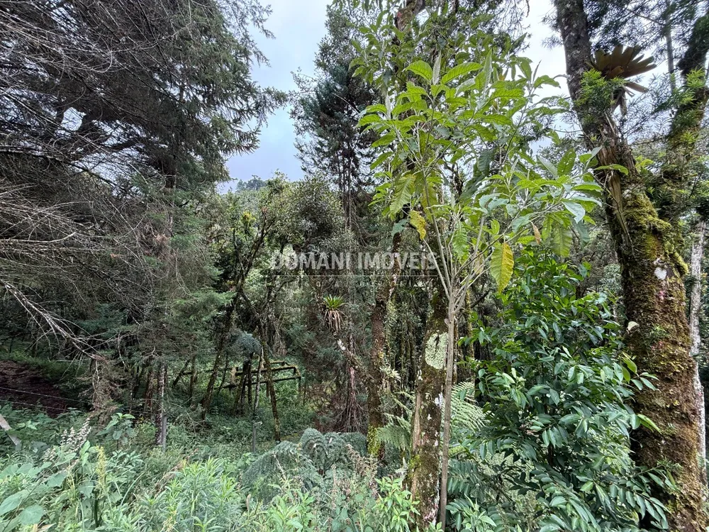 Terreno, 1380 m² - Foto 4