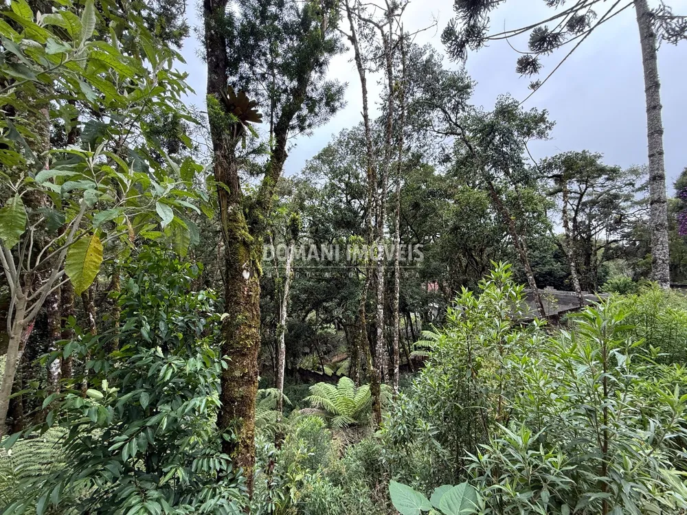 Terreno, 1380 m² - Foto 5