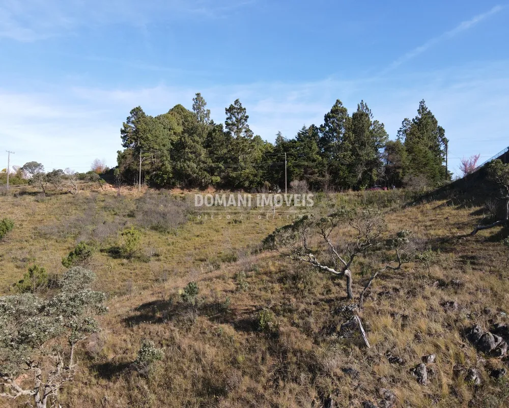 Terreno, 2350 m² - Foto 3