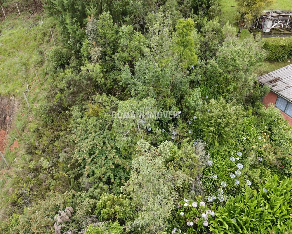 Terreno, 1210 m² - Foto 3