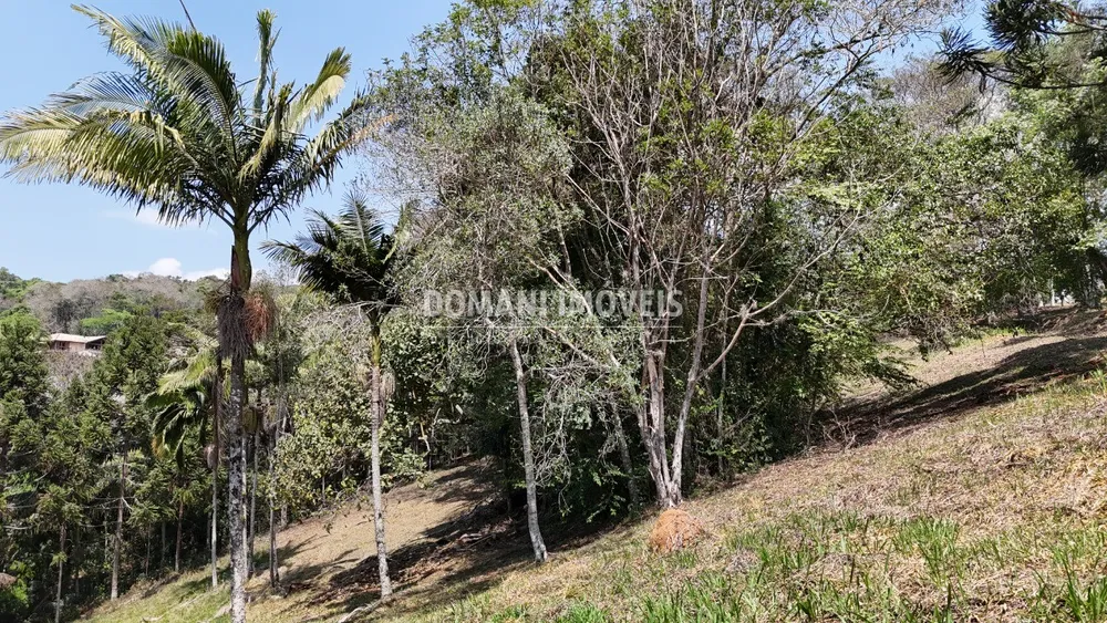 Terreno, 1215 m² - Foto 5