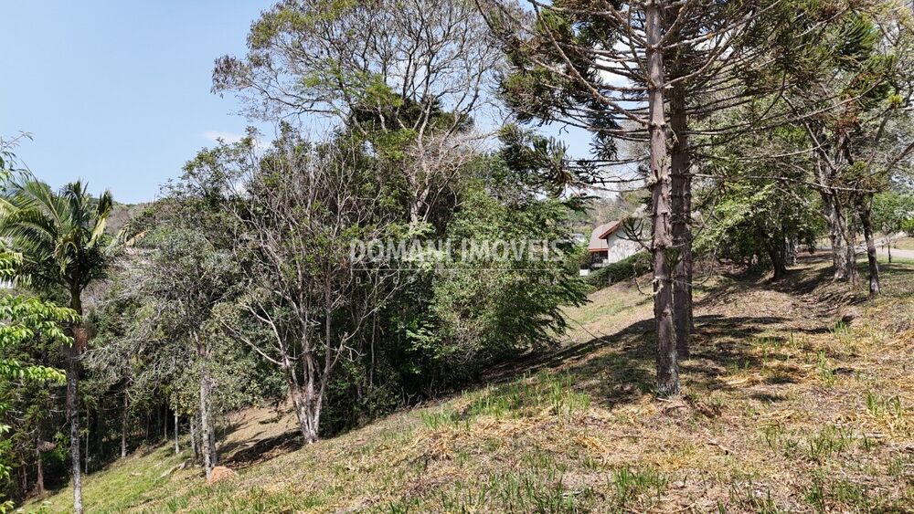 Terreno, 1215 m² - Foto 3
