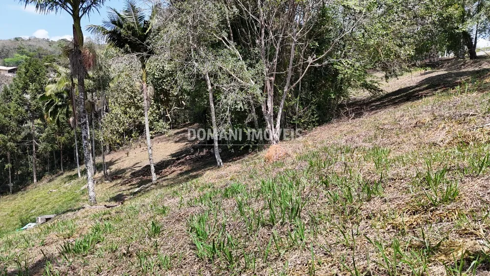 Terreno, 1215 m² - Foto 11