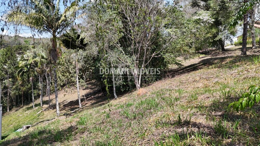 Terreno, 1215 m² - Foto 4