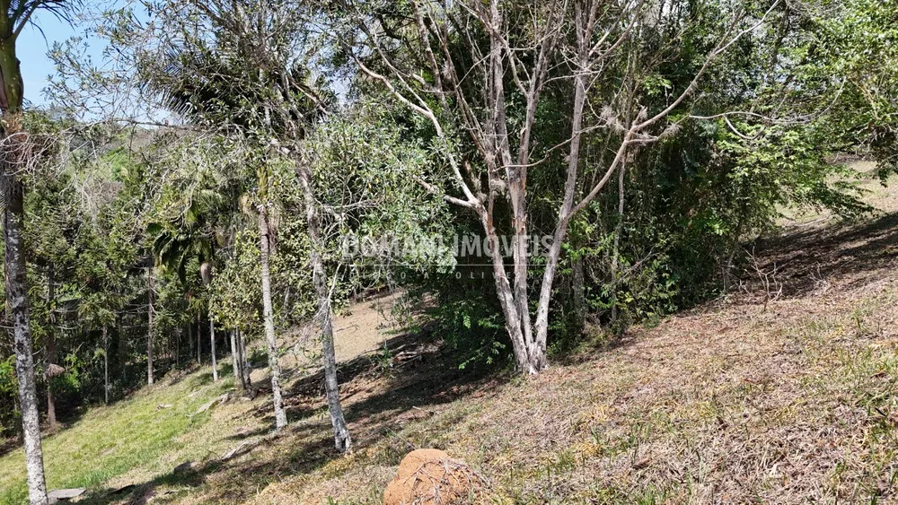 Terreno, 1215 m² - Foto 7