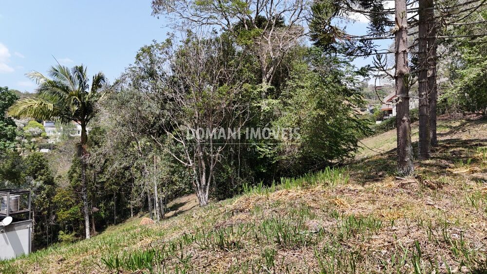 Terreno, 1215 m² - Foto 2