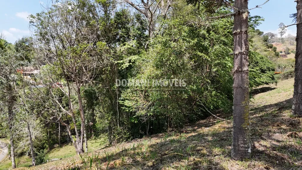 Terreno, 1215 m² - Foto 10