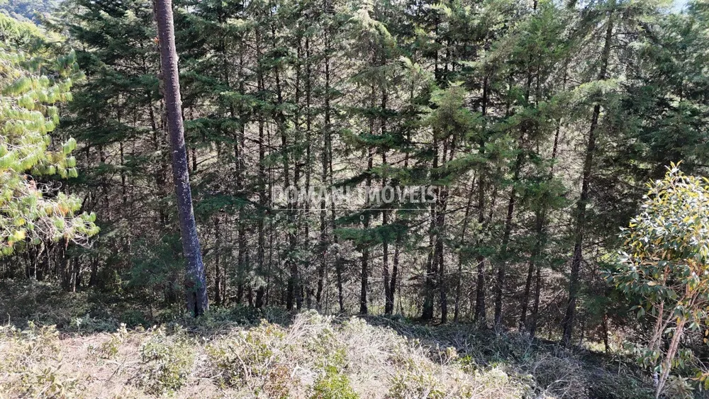Terreno, 1080 m² - Foto 7