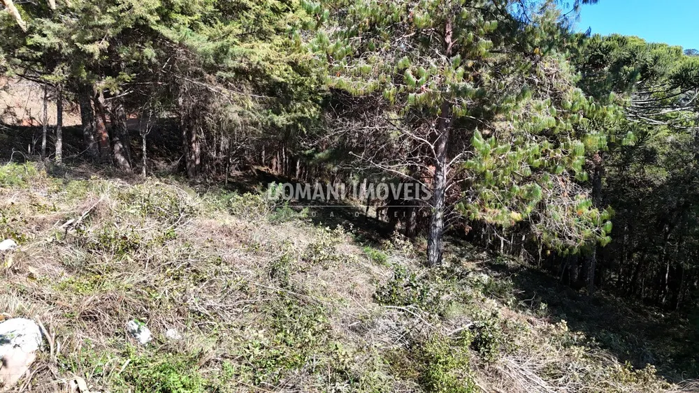 Terreno, 1080 m² - Foto 1