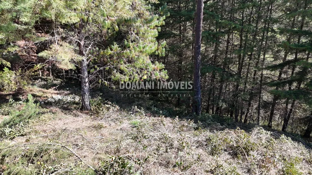Terreno, 1080 m² - Foto 3