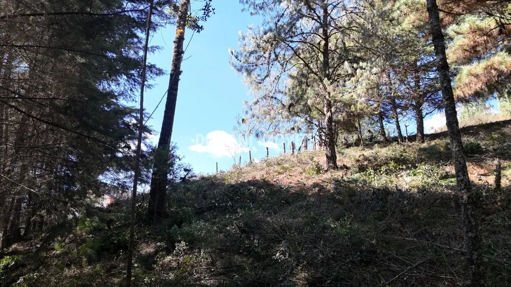 Terreno, 1080 m² - Foto 6