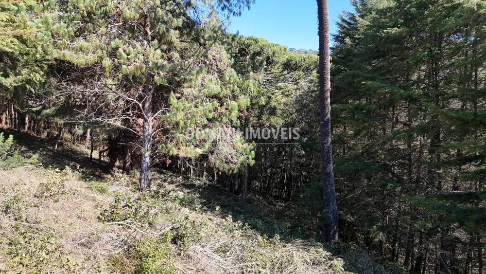 Terreno, 1080 m² - Foto 5