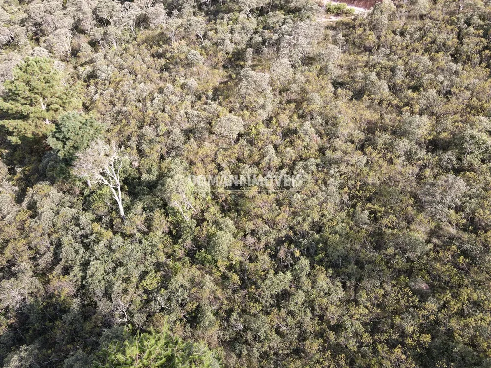 Terreno, 1010 m² - Foto 3