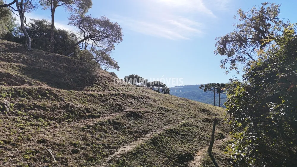 Terreno, 7210 m² - Foto 6