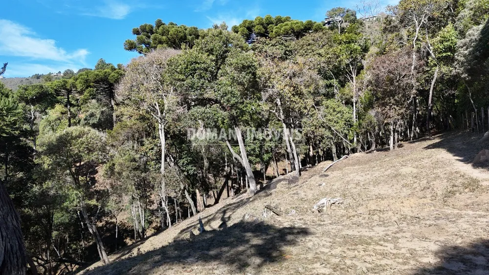 Terreno, 7210 m² - Foto 5