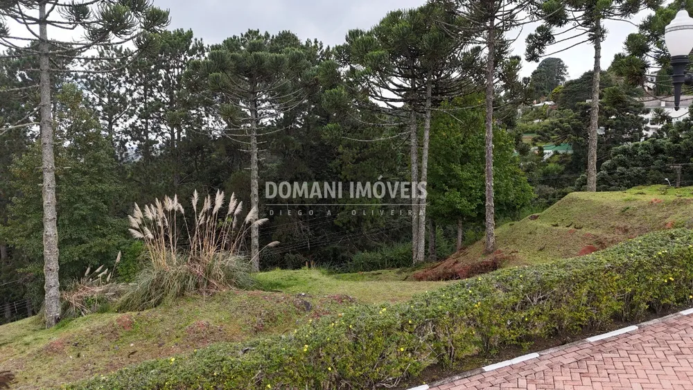 Terreno, 1045 m² - Foto 6