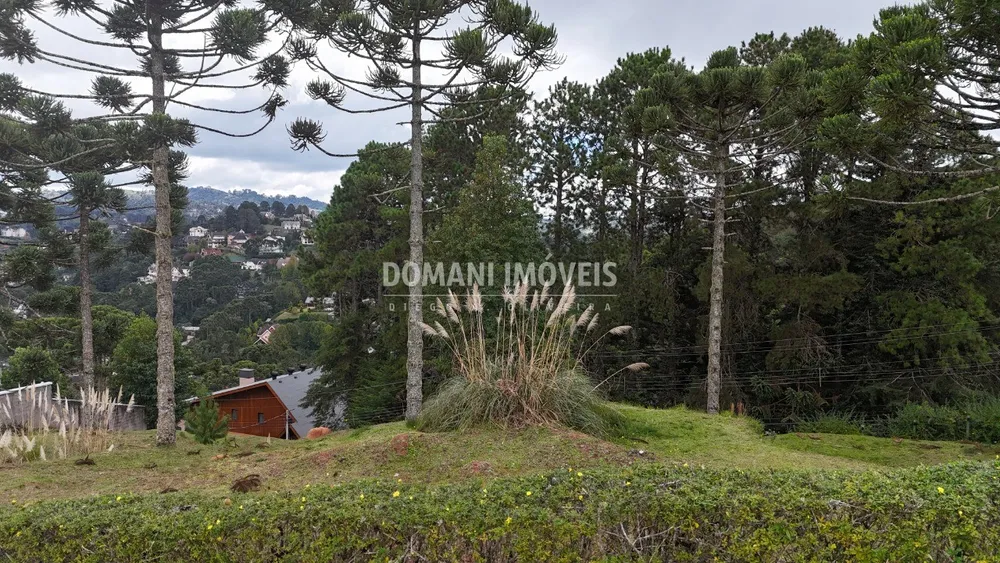 Terreno, 1045 m² - Foto 8