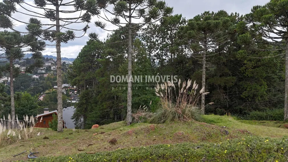 Terreno, 1045 m² - Foto 5