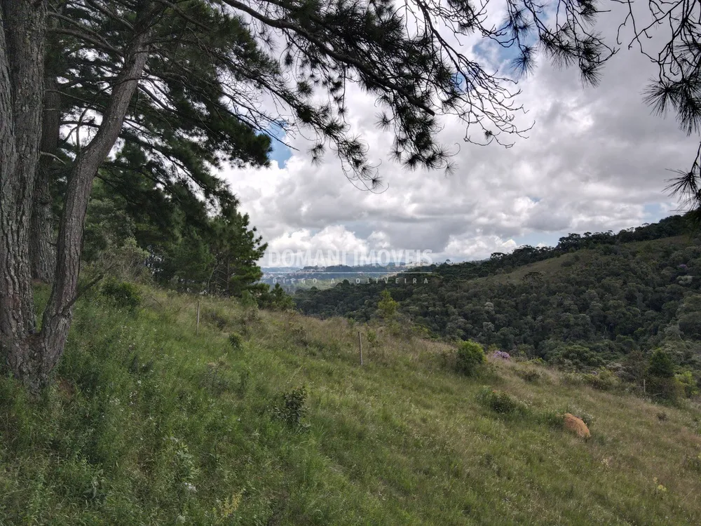 Terreno, 1340 m² - Foto 6