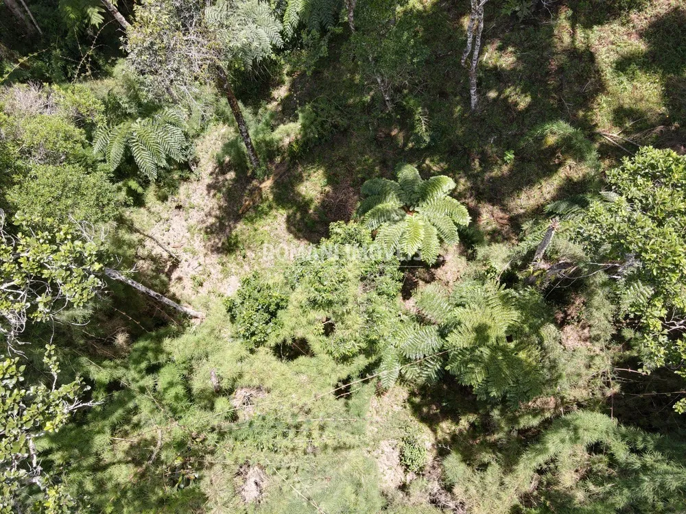 Terreno, 1110 m² - Foto 9