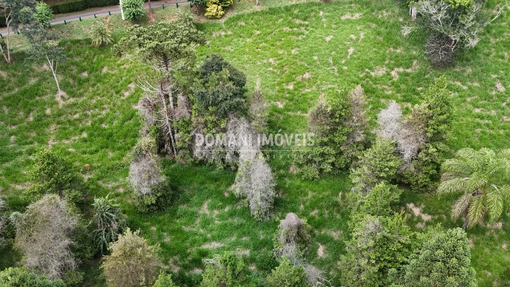 Terreno, 1035 m² - Foto 2