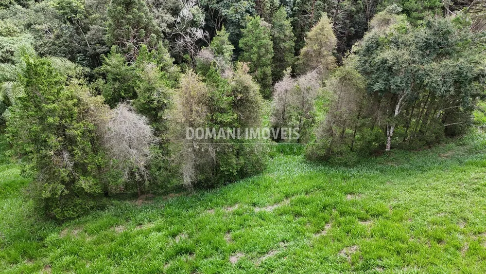 Terreno, 1035 m² - Foto 4