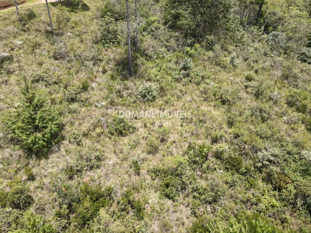 Terreno, 1370 m² - Foto 3