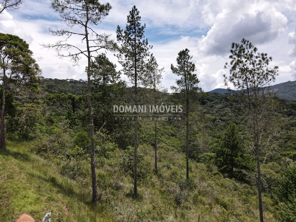 Terreno, 1370 m² - Foto 8