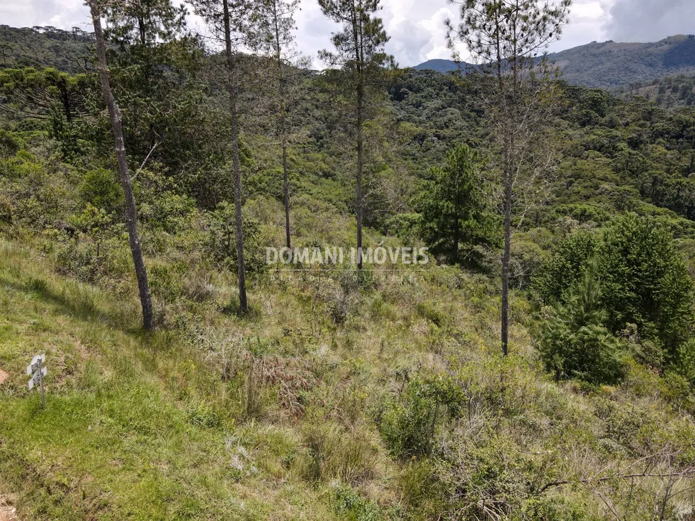 Terreno, 1370 m² - Foto 6