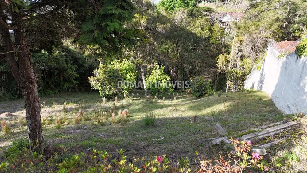 Terreno, 1395 m² - Foto 5