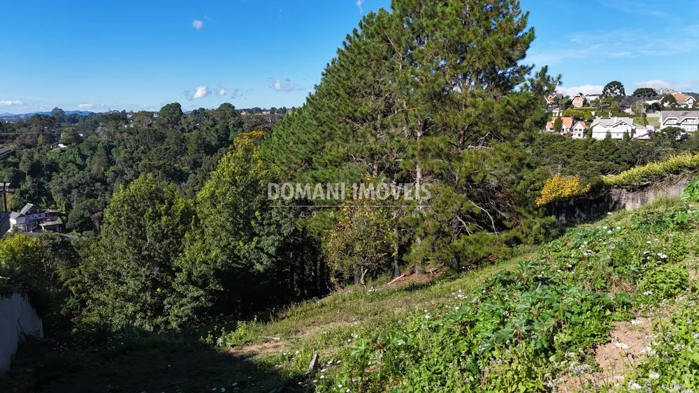 Terreno, 1290 m² - Foto 7