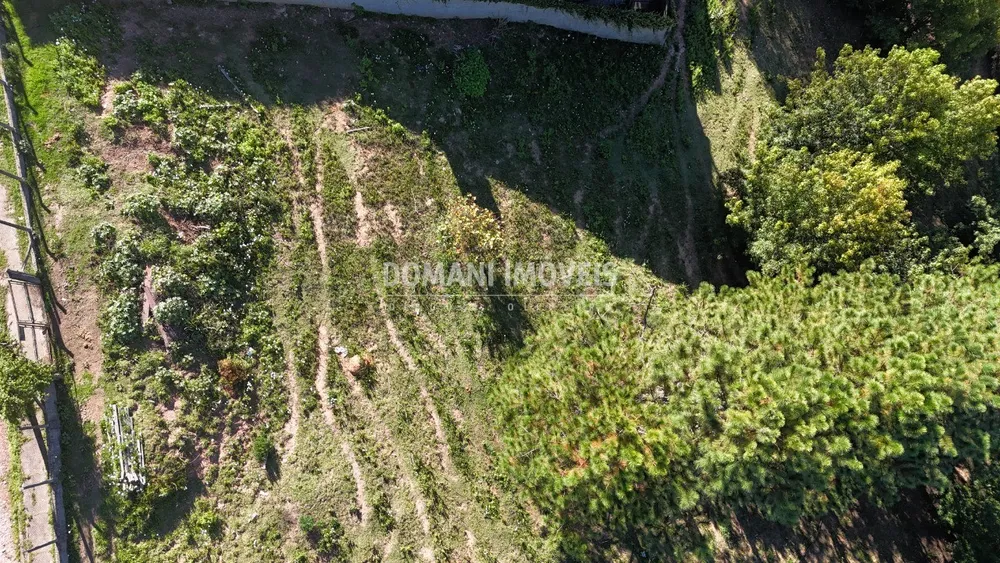 Terreno, 1290 m² - Foto 4