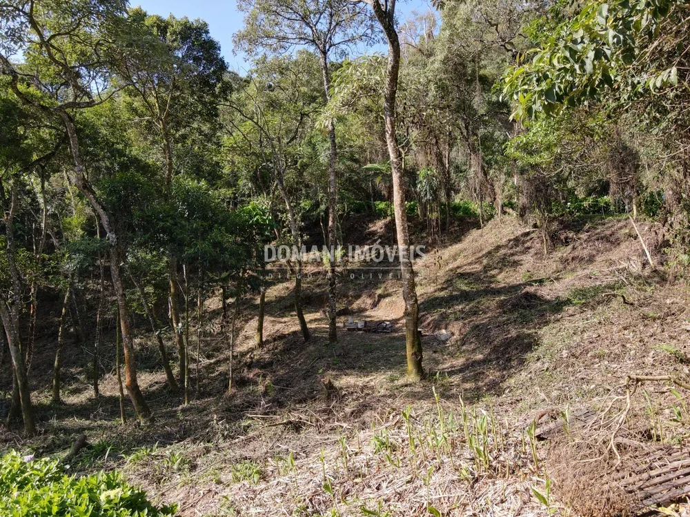 Terreno, 1055 m² - Foto 1