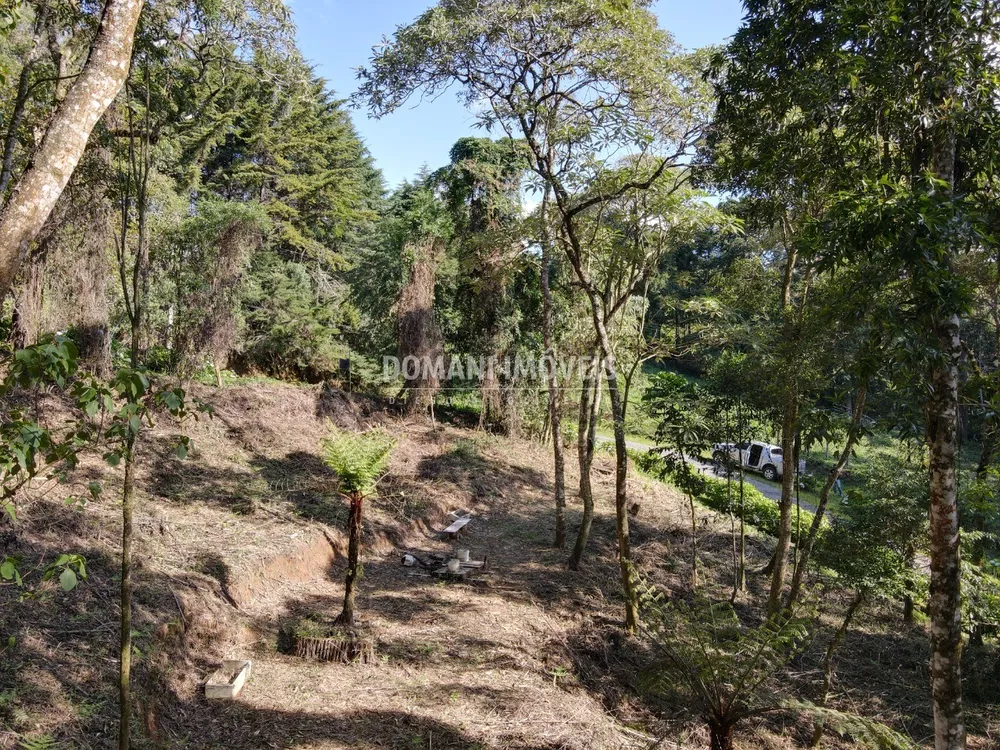 Terreno, 1055 m² - Foto 5