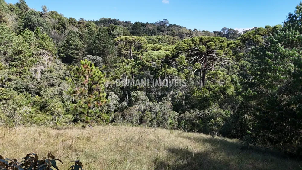 Terreno - Foto 1