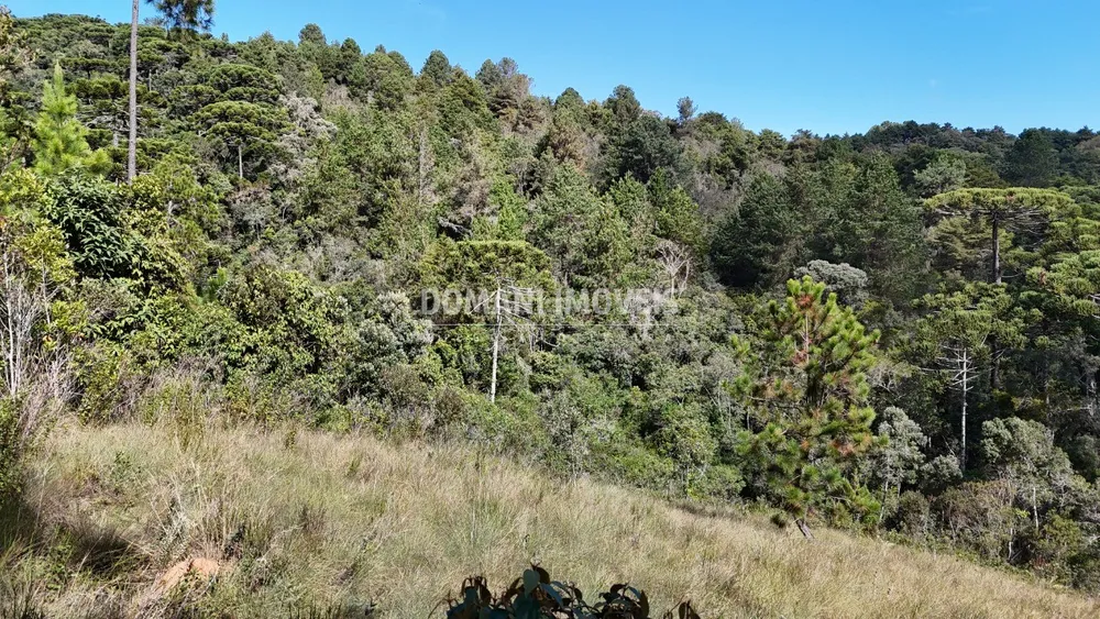 Terreno - Foto 4