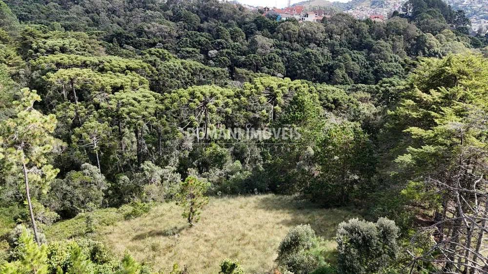 Terreno - Foto 2